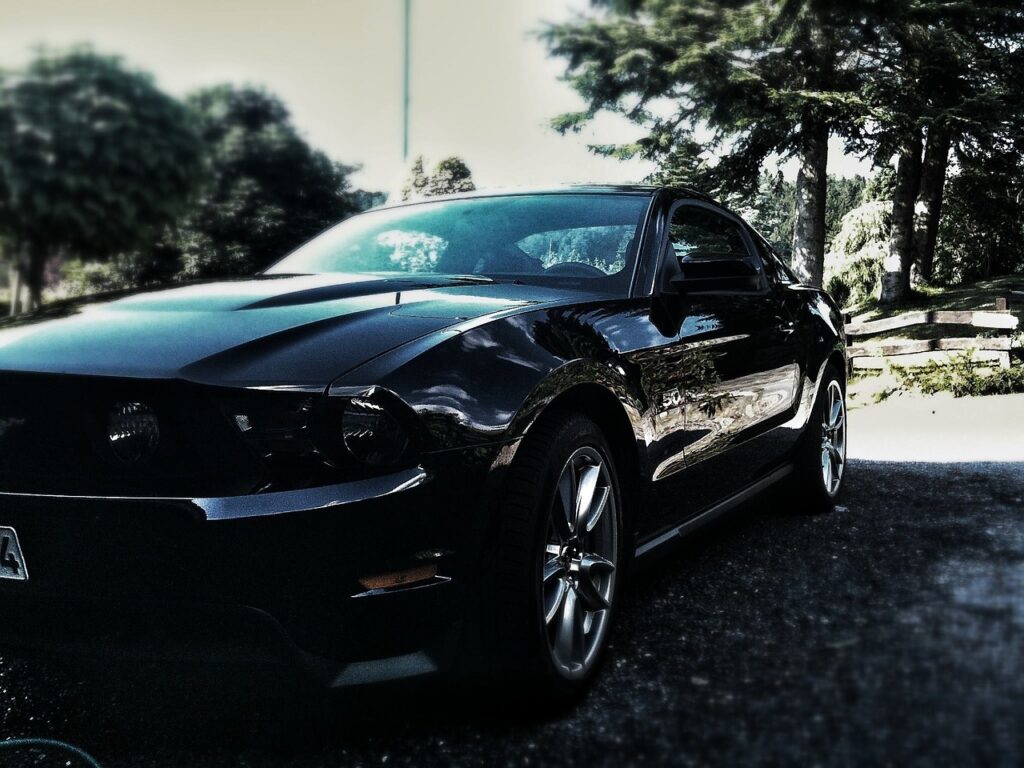 mustang, ford, automobile, coupe, vehicle, american, ford mustang, pony, muscle, classic, gt, 5 0, v8, pony car, black, mustang, mustang, ford, ford mustang, ford mustang, ford mustang, ford mustang, ford mustang